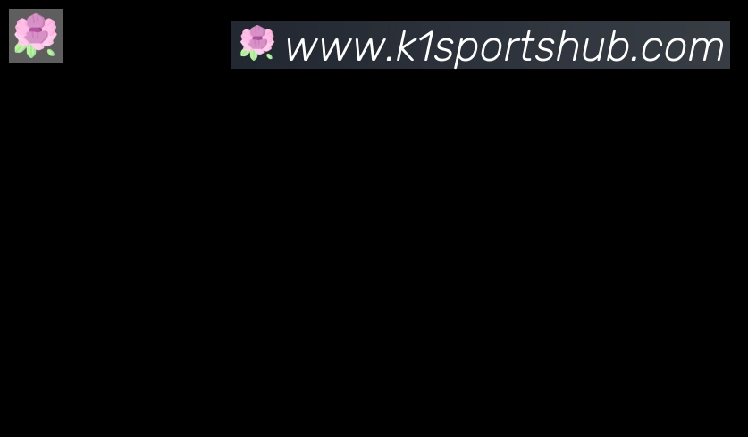 K1体育合作伙伴